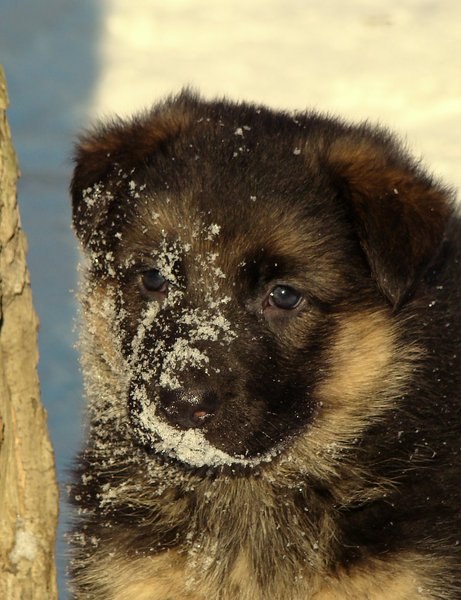 Лилия Урамова | Казань