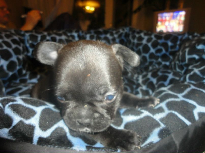 Александр Цап | Харьков