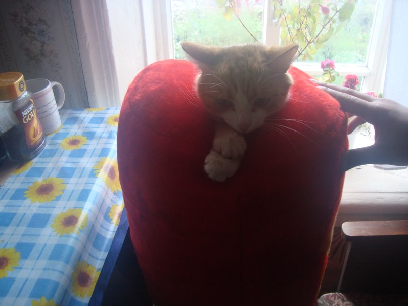 Дима Минин | Пермь