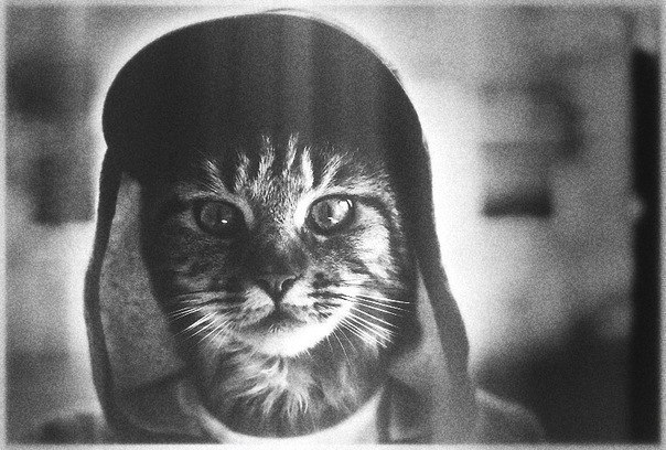 Дарья Заварзина | Архангельск