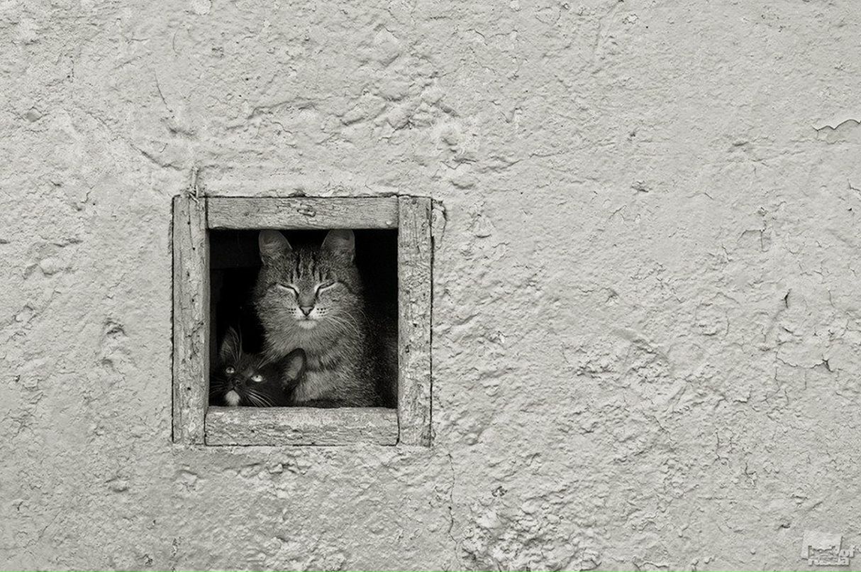 Катерина Клипп | Москва