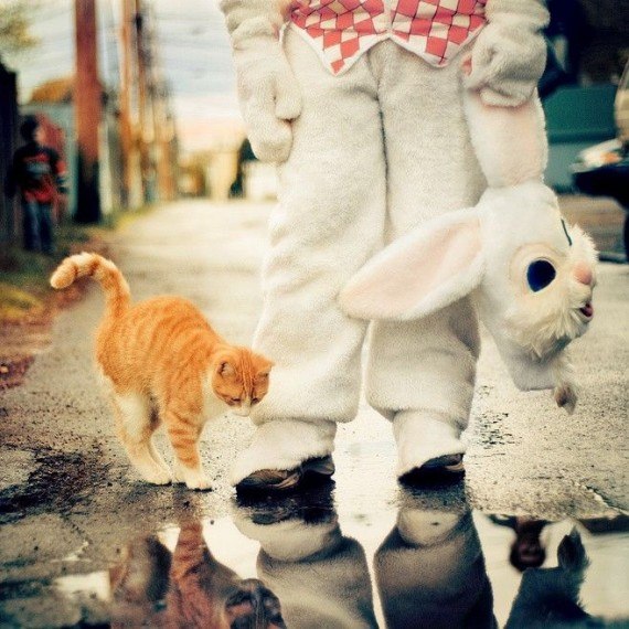 Коля Вознюк | Червоноград