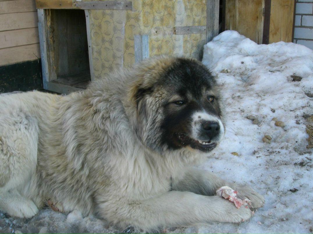 Анна Носкова | Бугульма