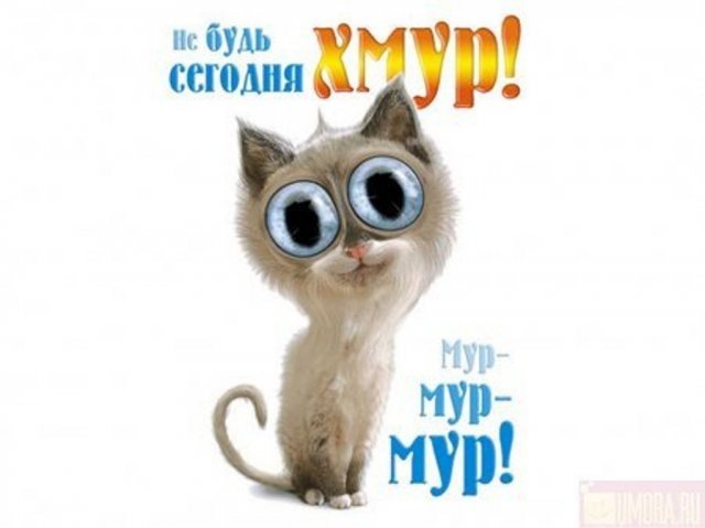 Объявление Юленка Закхарова