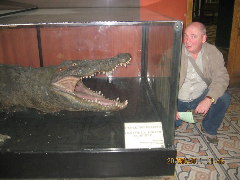 Андрей Савилов Дмитриевич | Ступино