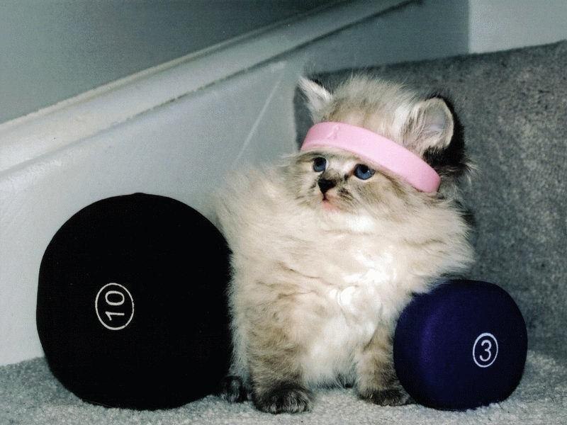 Алла Кашул | Новосибирск