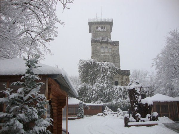 Михаил Чарнобай Эдуардович | Сочи