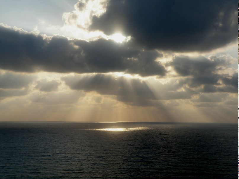 Марина Окладникова/Зарицкая | Санкт-Петербург