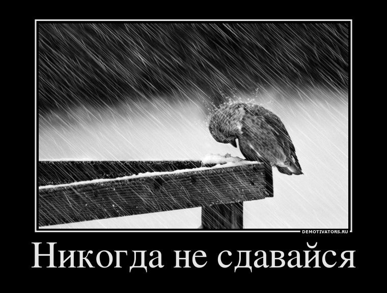 Лёха Рыбак | Омск