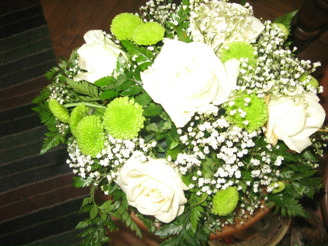 Polina Lukovskaya | Кривой Рог