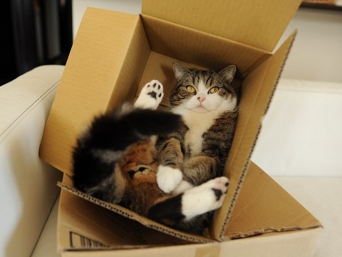 Надежда Проклова alenorr | Москва