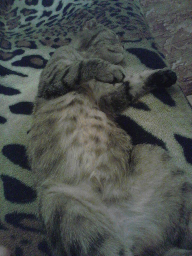 Света Юрченко Цветочек | Минск