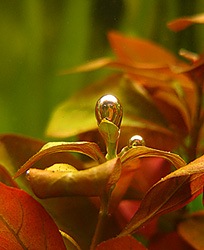 №87, Салон Аква Лого, Москва №87, Салон Аква Лого, Москва