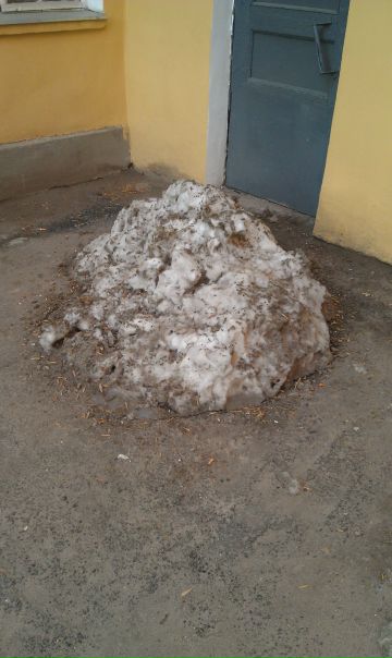 №19, Павел Желтов, Санкт-Петербург, Россия №19, Павел Желтов, Санкт-Петербург, Россия