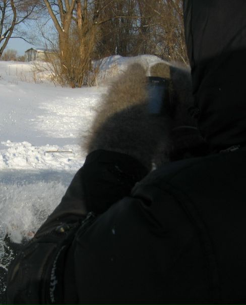 №4, Игорь Цивилёв, 40 лет, Новосибирск №4, Игорь Цивилёв, 40 лет, Новосибирск