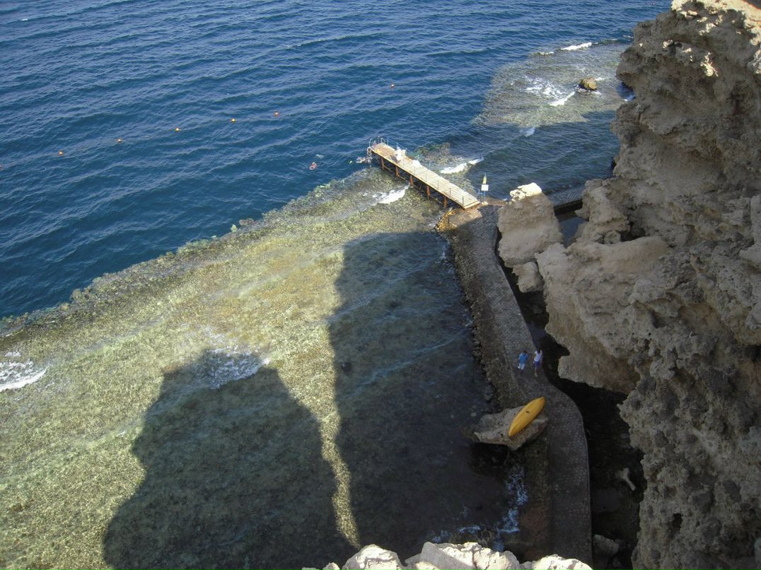 Алексей Петров | Москва