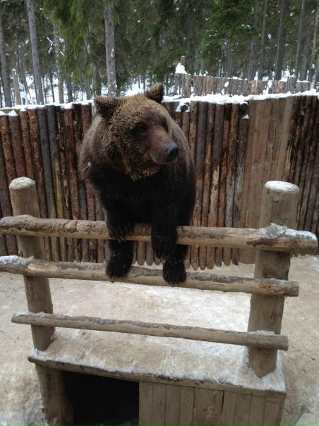 №156, Ника Баталова, Denpasar №156, Ника Баталова, Denpasar