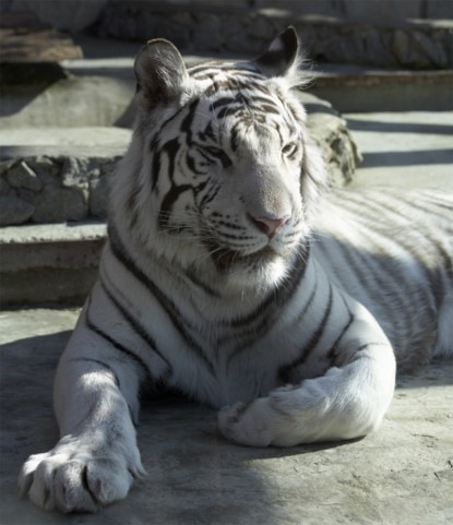 №34, Михаил Артёмов, 31 год, Екатеринбург №34, Михаил Артёмов, 31 год, Екатеринбург