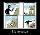 №17 Александр Кушников