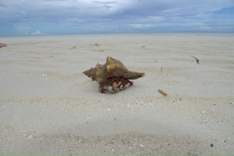 Илья Ломцев | Санкт-Петербург