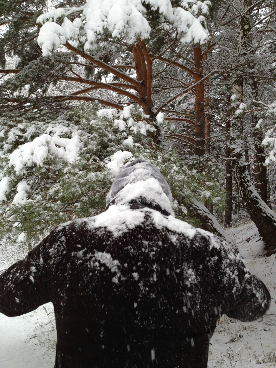 Анатолий Прохоров | Москва