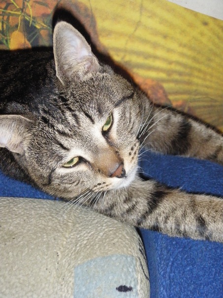 №110, Роман Бехтир, Санкт-Петербург №110, Роман Бехтир, Санкт-Петербург