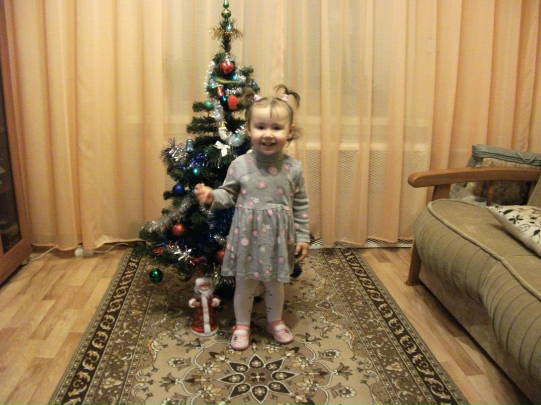 Дмитрий Комаров | Кострома