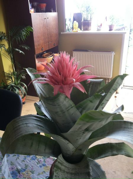 №96, Юлия Шашкова, Москва №96, Юлия Шашкова, Москва