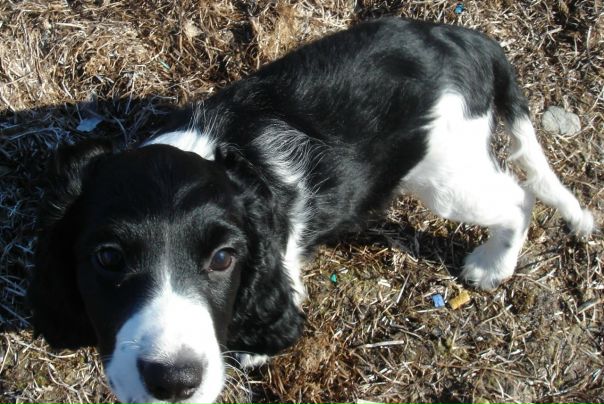 №86, Евгения Петько, Москва №86, Евгения Петько, Москва