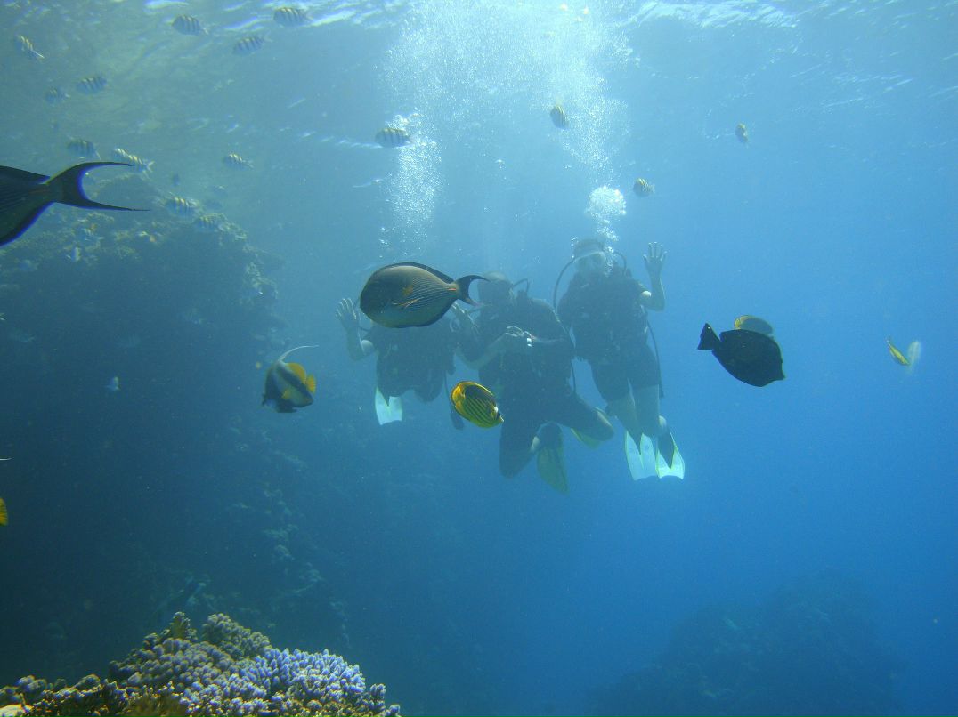 Евгений Прытов | Сыктывкар