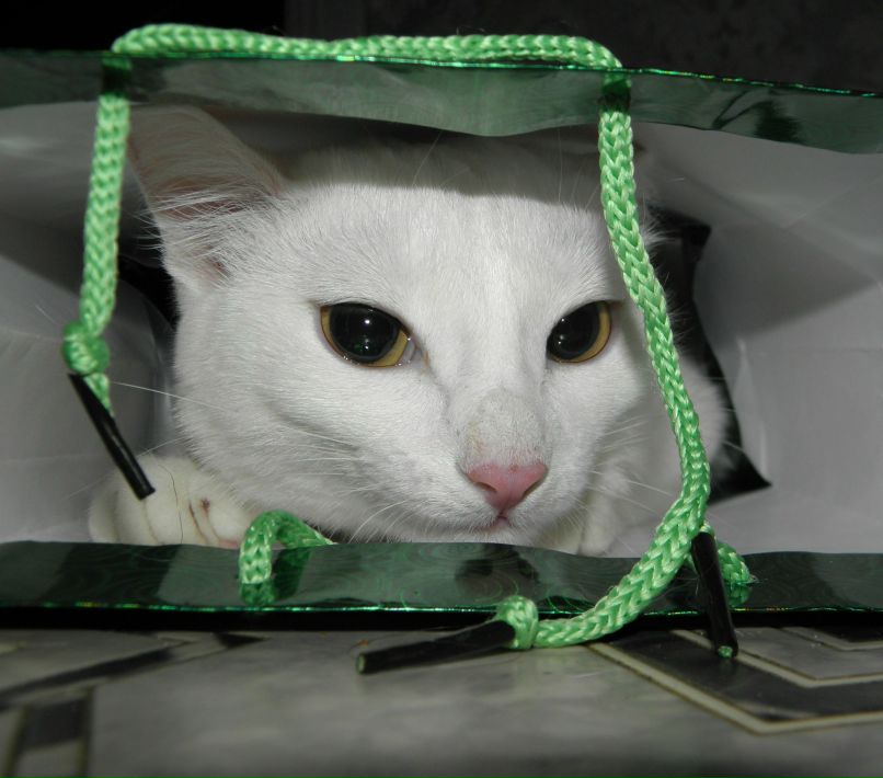 Людмила Широкова | Северск