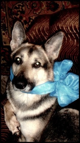 Kioko Катаока | Москва