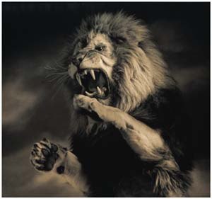 Вова Панчук | Киев