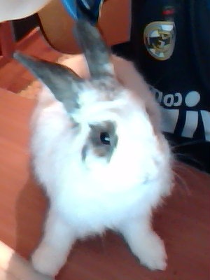 №2, Никита Ахметов №2, Никита Ахметов