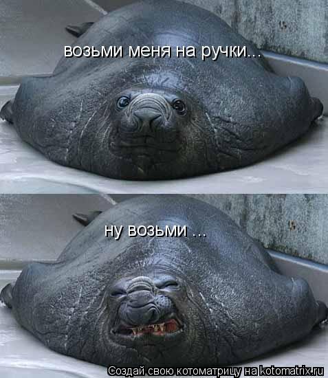 Александра Быковская | Москва