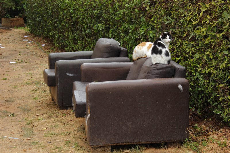 Игорь Булгаков Владимирович | Bat Yam