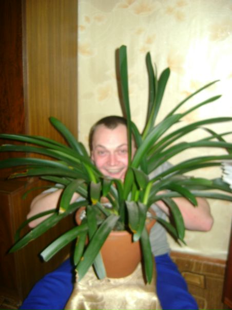 №173, Андрей Андреев, 41 год, Боровичи №173, Андрей Андреев, 41 год, Боровичи