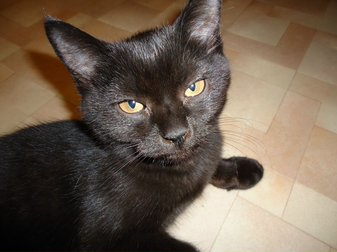 Владимир Усачев [Без вина пьяный] | Красноярск