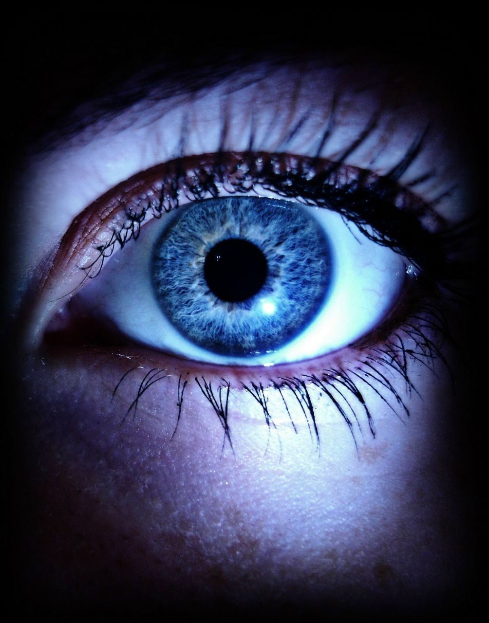 Лариса Кригер | Краснодар