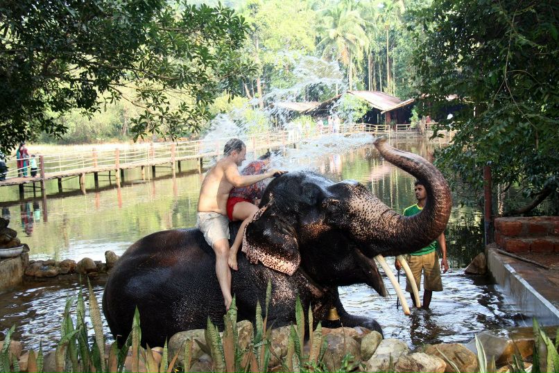 Роза Ветров | Самара