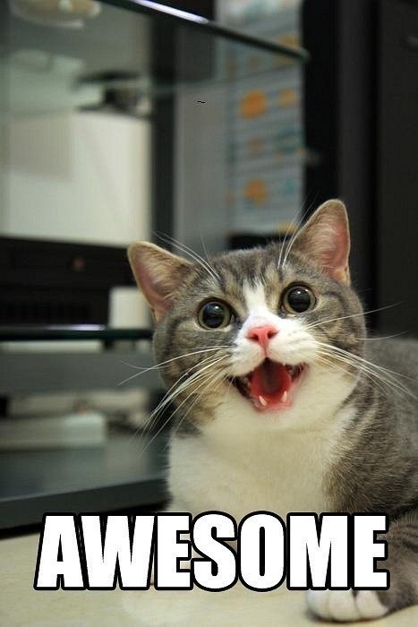 Дмитрий Никологло | Десногорск