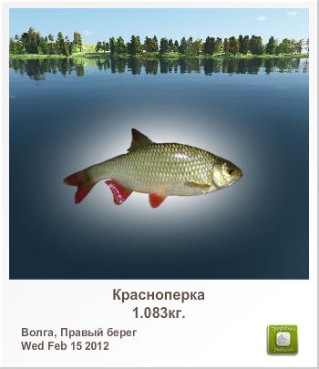 Діма Федчишин | Тернополь