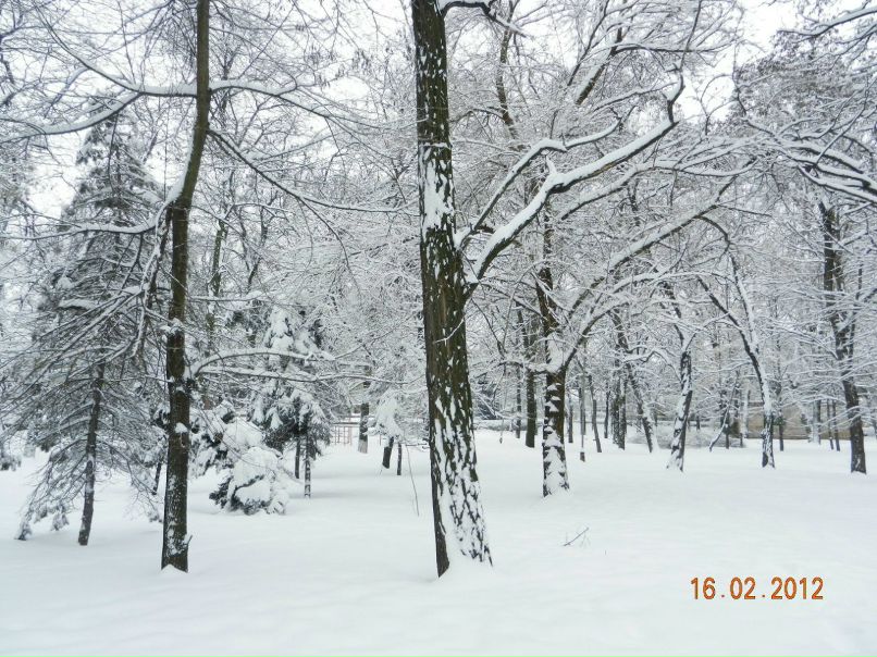 Юрий Малина | Луганск