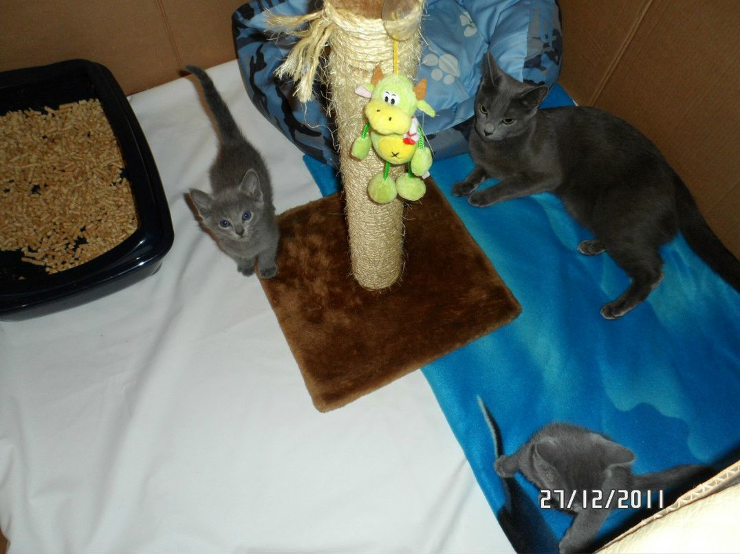 Ирина Егорова | Санкт-Петербург