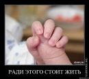 Фотография Казарина Вадика