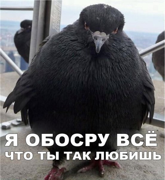 Юрка Алексеев | Санкт-Петербург