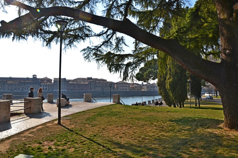 Денис Дианов | Москва