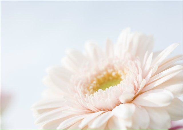 №112, Сюзанна Степанян, Москва №112, Сюзанна Степанян, Москва