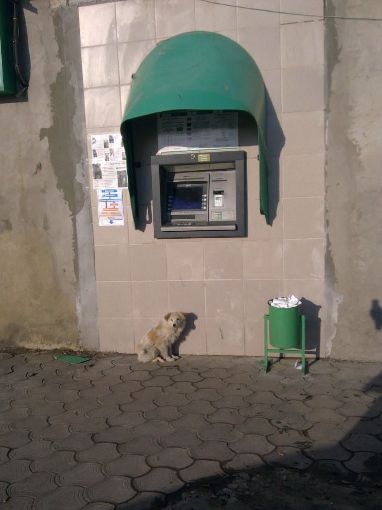 Сулейман Пирметов | Волгоград