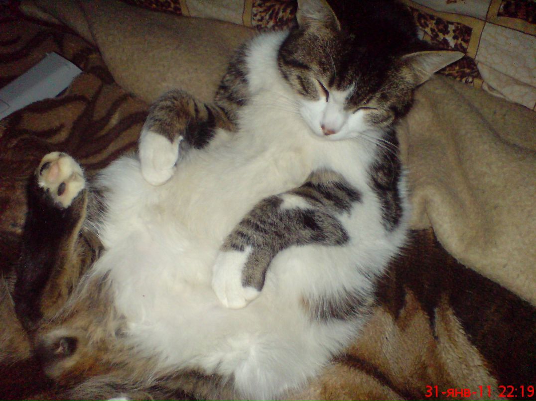 Алексей Петров | Севастополь